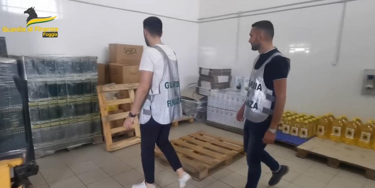Cerignola, sequestrati 37mila litri di olio extravergine di oliva contraffatto - 