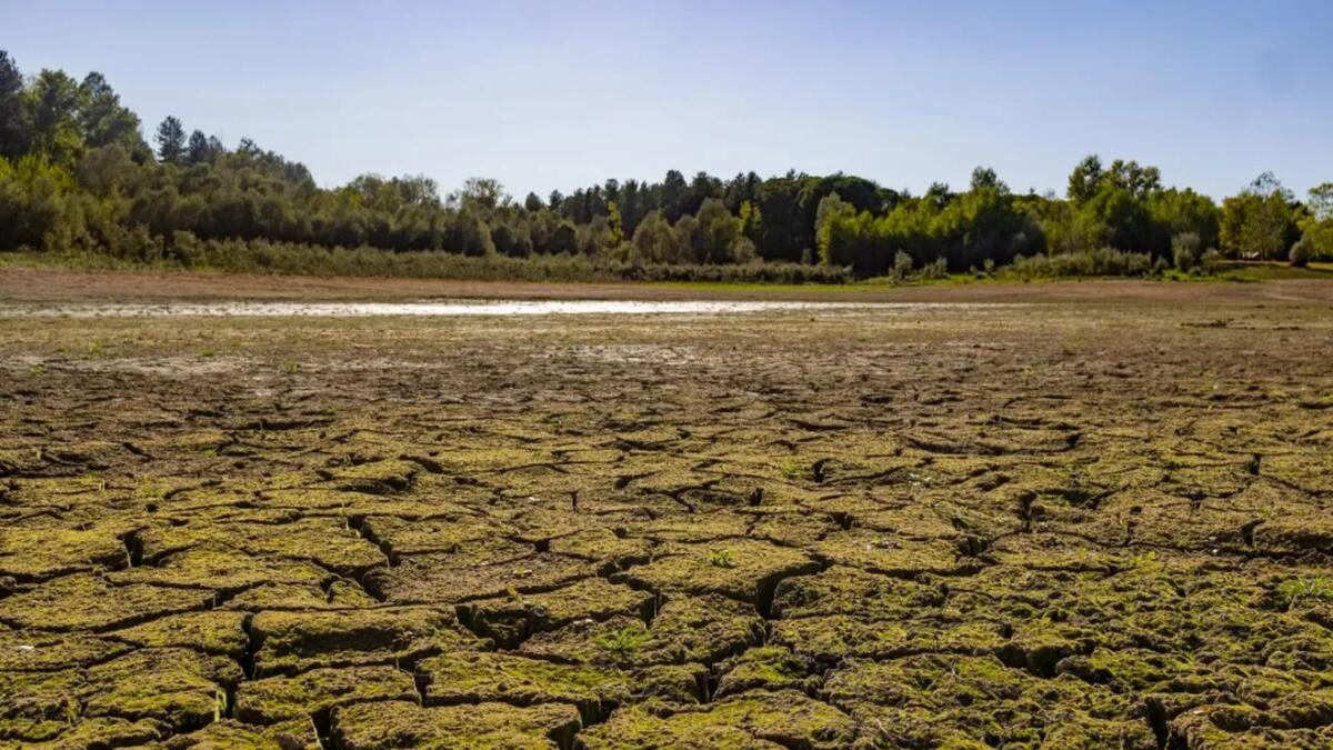 Crisi idrica, Cataneo: si passi da annunci a cantieri - 