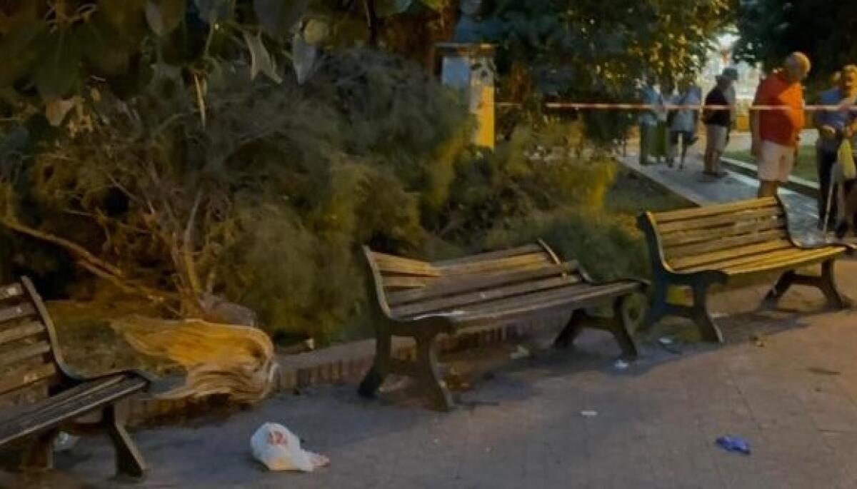 Manfredonia, morto anziano ferito il 30 agosto da ramo caduto da albero - 