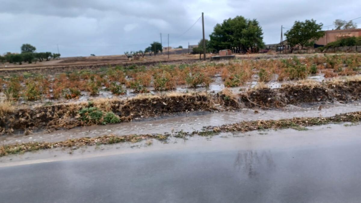 Bomba d'acqua nel foggiano. Allagamenti sul Gargano e sui Monti Dauni - 