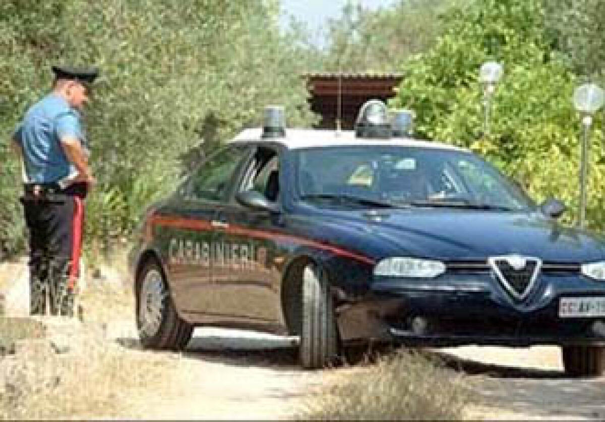 Orta Nova, donna arrestata per usura ed estorsione aggravata dal metodo mafioso - 