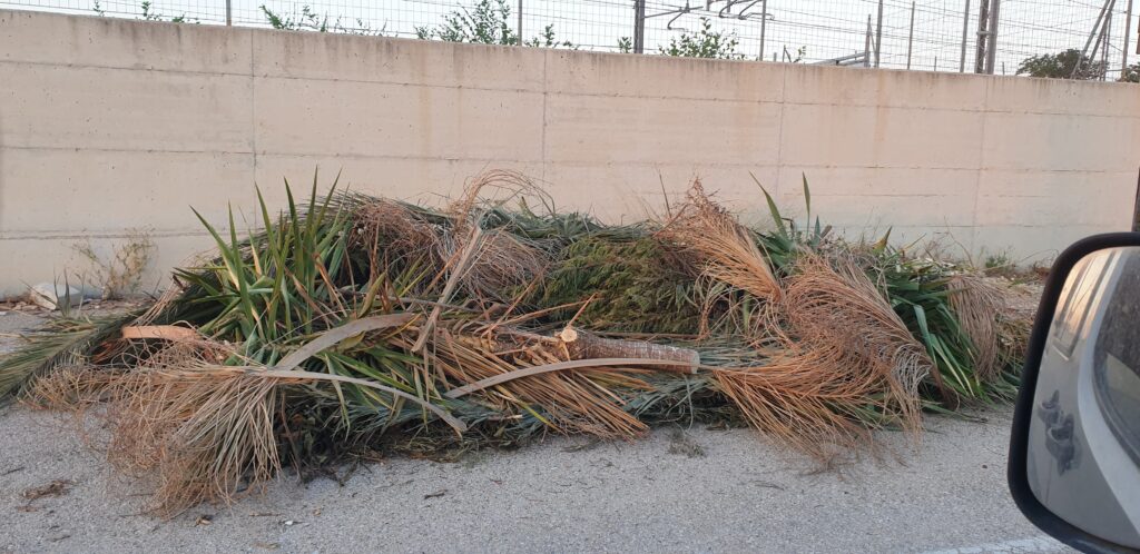 Foggia, Rignanese: a corso del Mezzogiorno una vera e propria discarica a cielo aperto