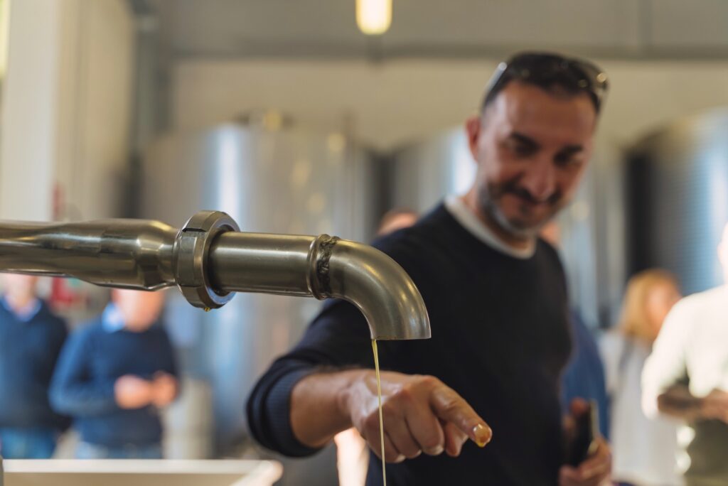 Premitour, un viaggio alla scoperta dell'olio del nord della Puglia