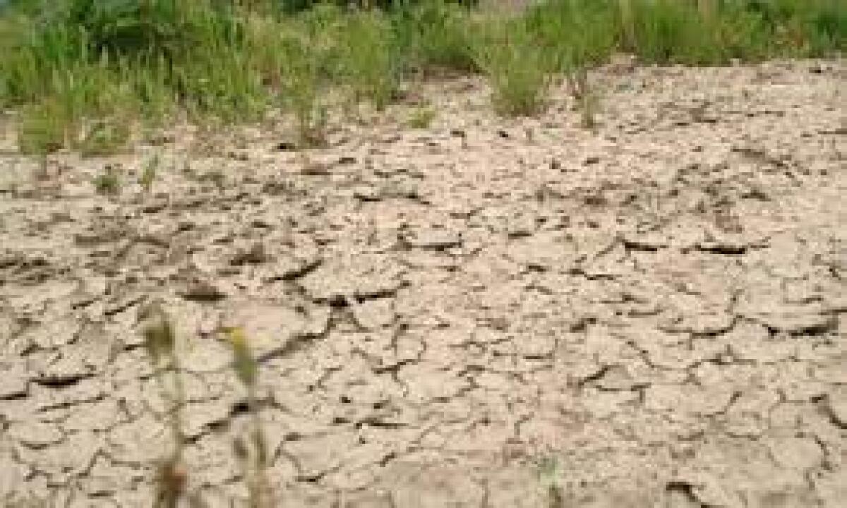 Foggia, la siccità all'attenzione del Consiglio Comunale - 