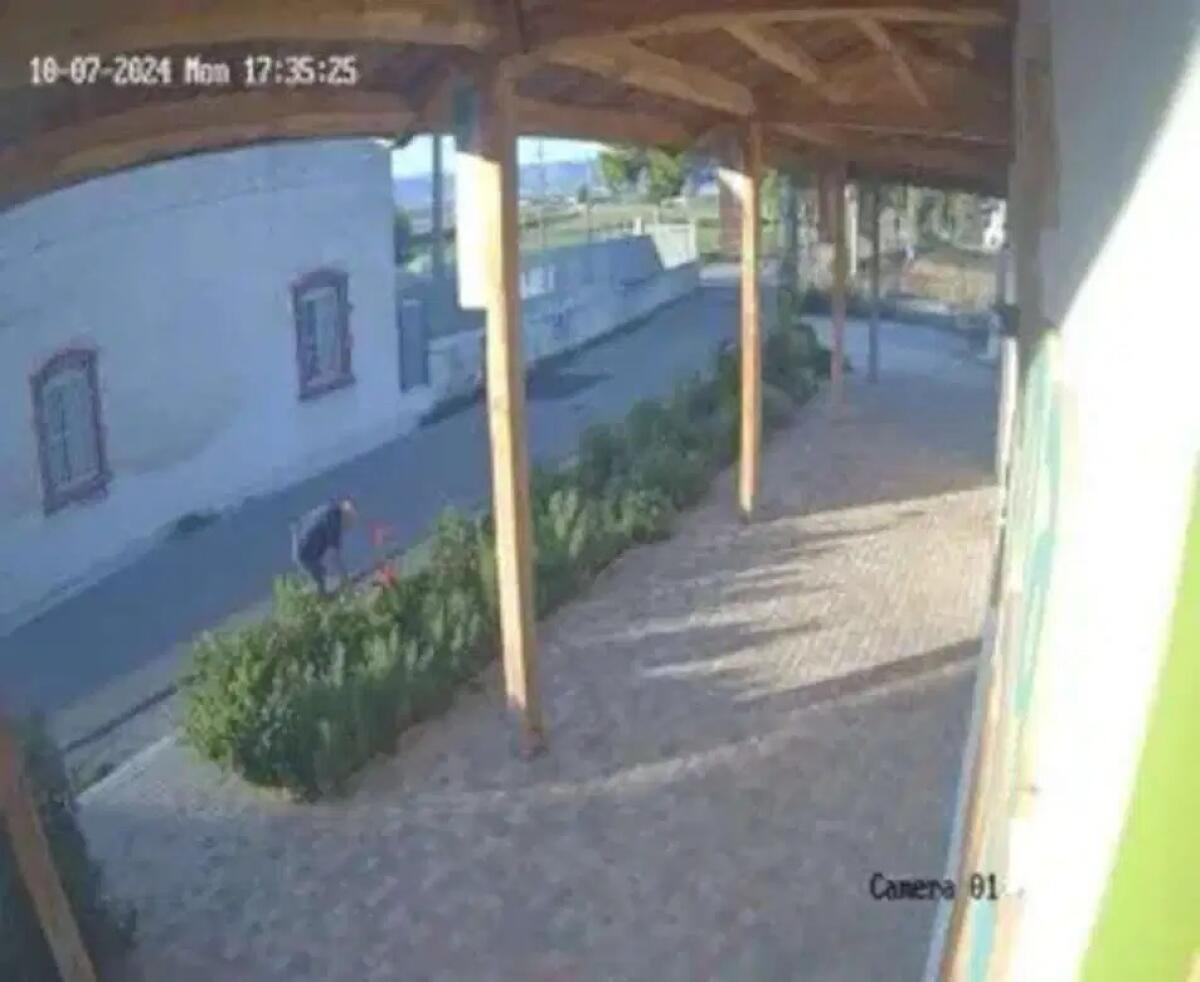 Manfredonia, rubate piante dall’oasi Laguna del Re - 