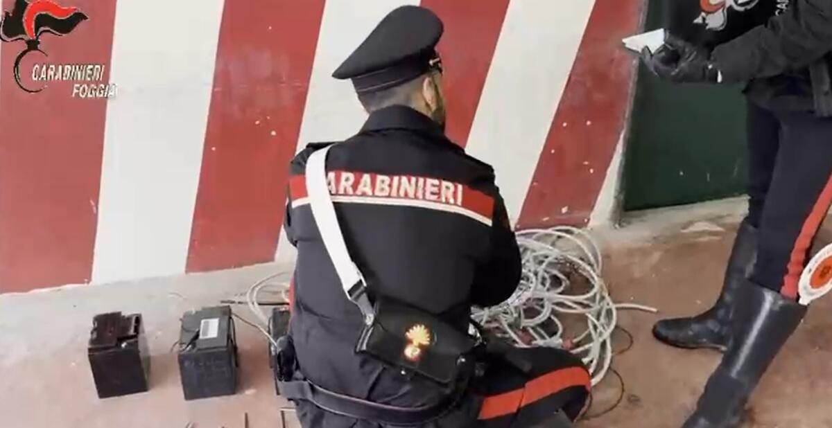 Cerignola, 4 arresti per furto e ricettazione - 