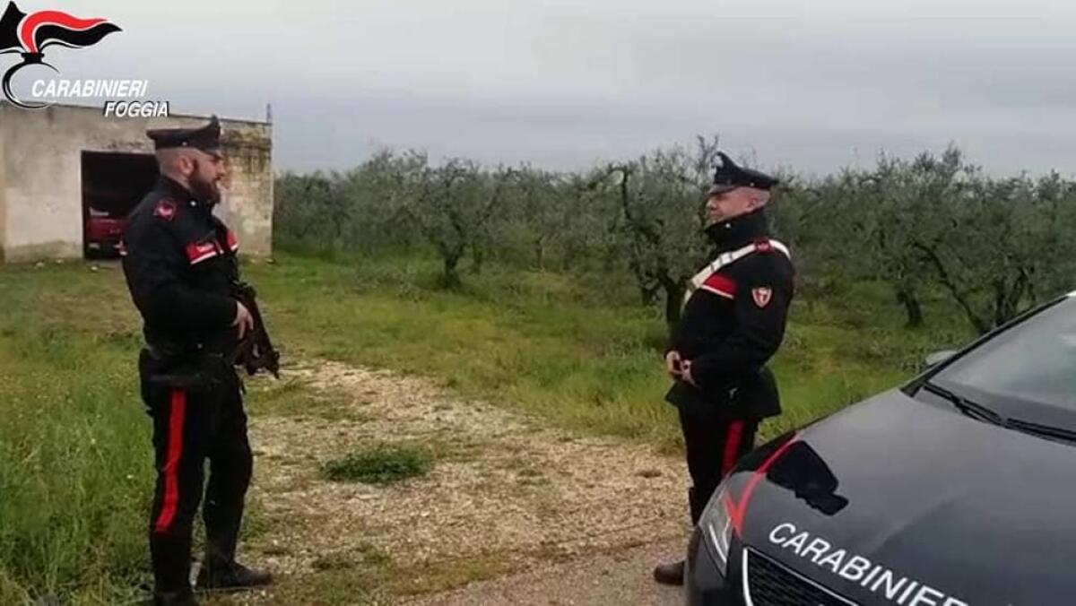 Monte Sant'Angelo, trovato corpo di 34enne. Forse attaccato da cinghiale - 