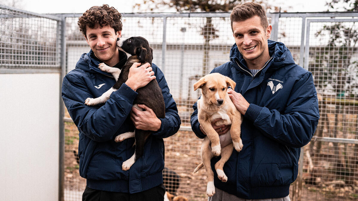 L'Hellas Verona scende in campo al fianco di ENPA con sette cuccioli del Rifugio del Cane e del Gatto - 