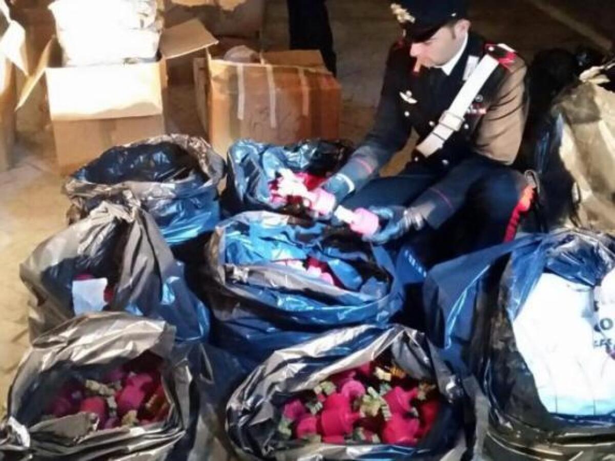 Lucera, sequestrato un quintale di botti: tre arresti tra cui un dipendente del Comune - 