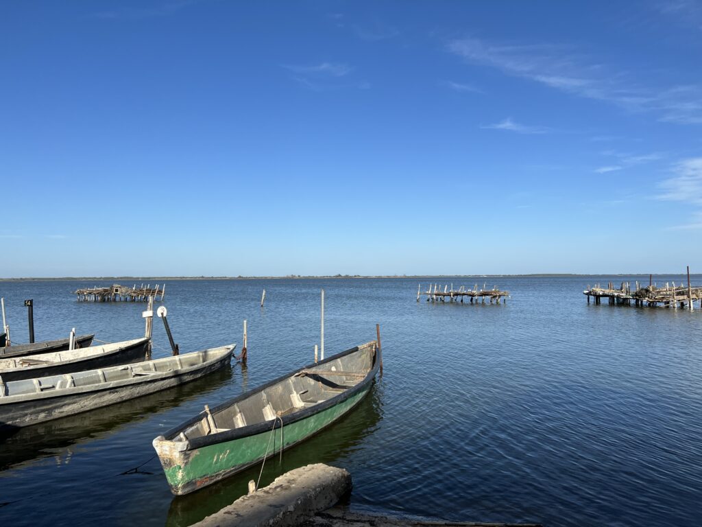 Enogastronomia e natura carte vincenti per Lesina: scatta la scintilla con i buyer