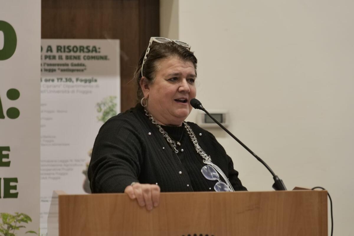 Foggia, continuano sui social le critiche volgari alla sindaca Episcopo - 