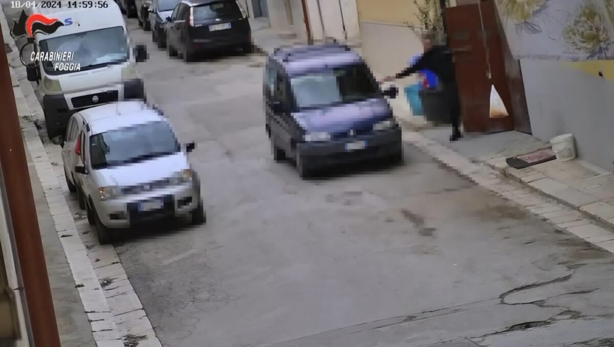 Cerignola, nove arresti per droga - 
