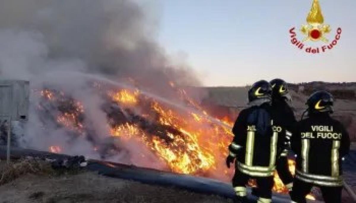 Vieste, scoppia incendio. Chiesto intervento aereo - 