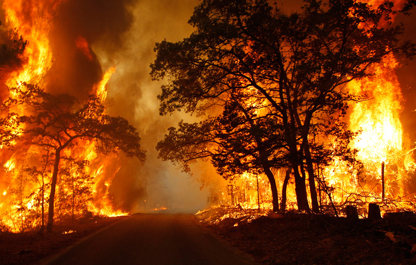 Incendi: nel foggiano sei persone denunciate dai carabinieri