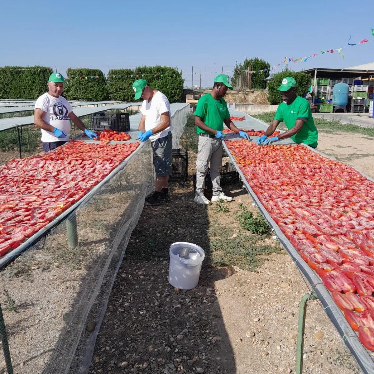 I prodotti antimafia e solidali del consorzio Oltre sbarcano a Bari “Agrilevante” - 