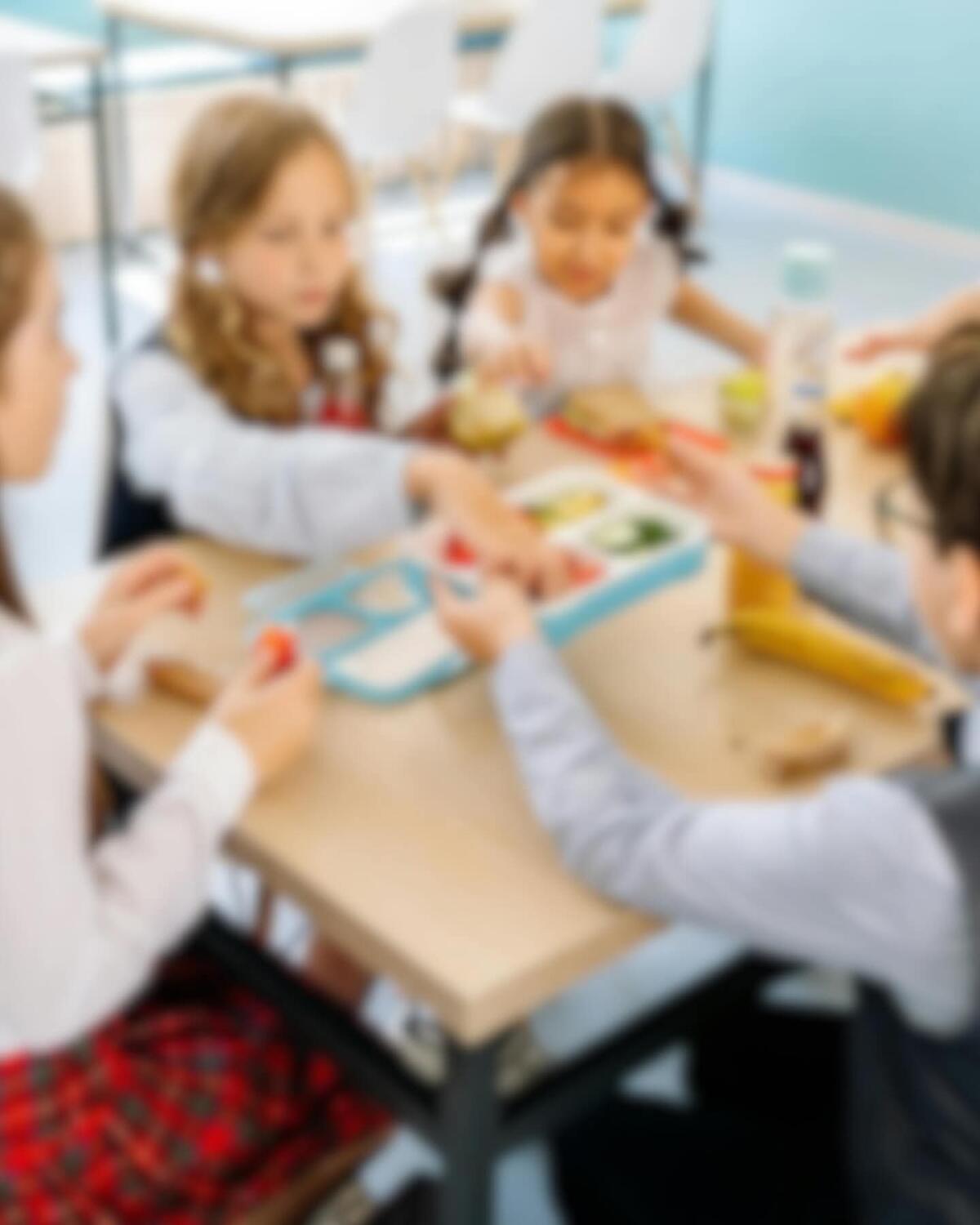 Foggia, inizia oggi il servizio di mense scolastiche - 