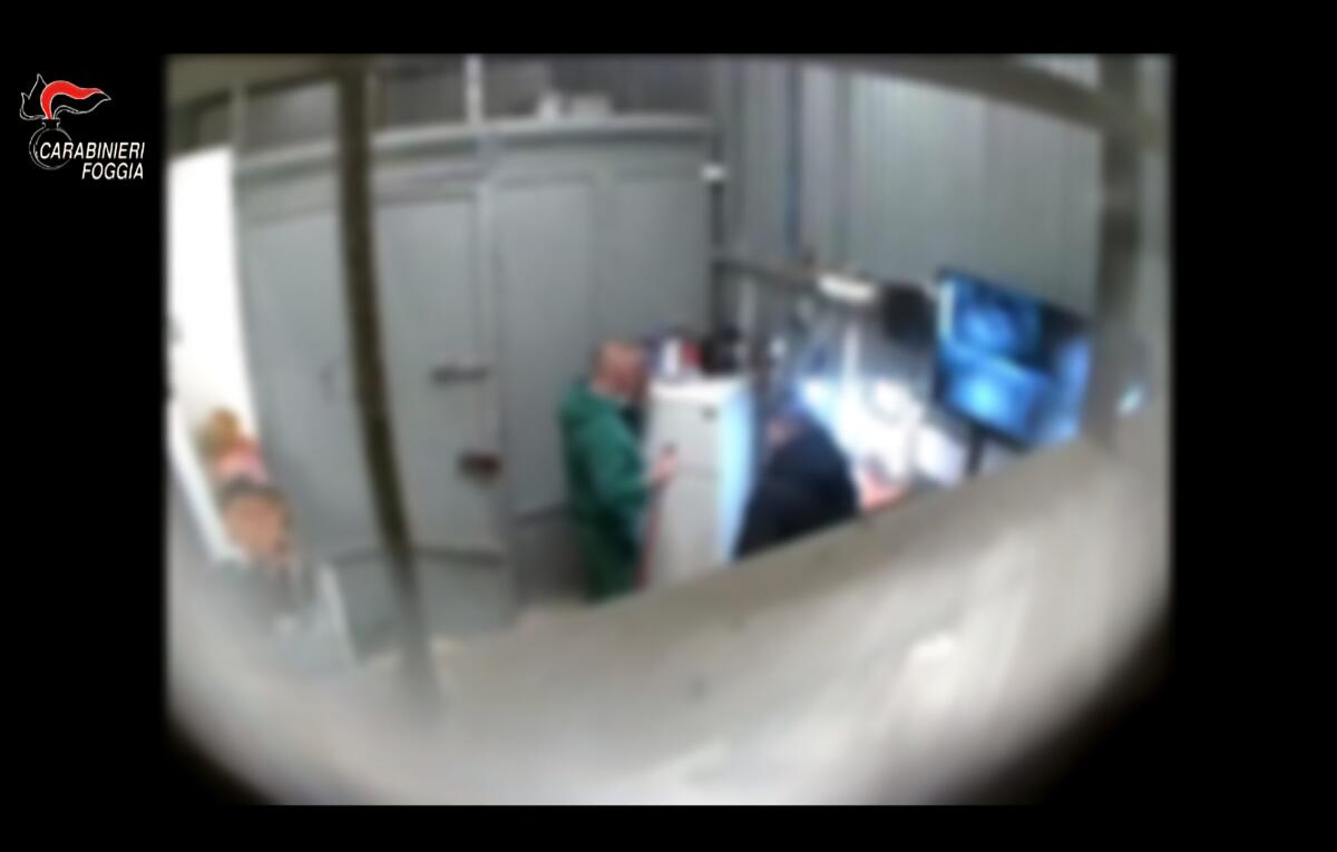 Droga, 12 arresti a San Severo - 