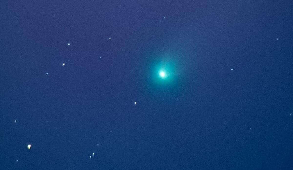 Su Foggia la Cometa C/2025 A6: la fotografia di Leonardo Nardella di "Astrofili di Capitanata" - 