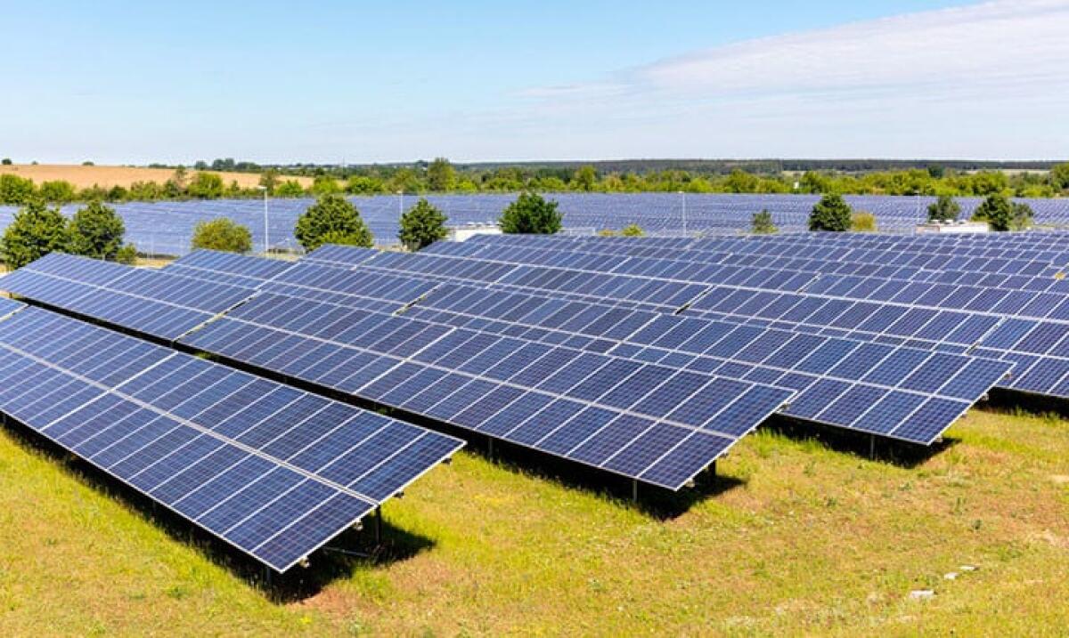 Fotovoltaico, Italia Olivicola e CIA Puglia al Ministro Fratin: valutare l'impatto degli espianti di olivo o altre colture - 