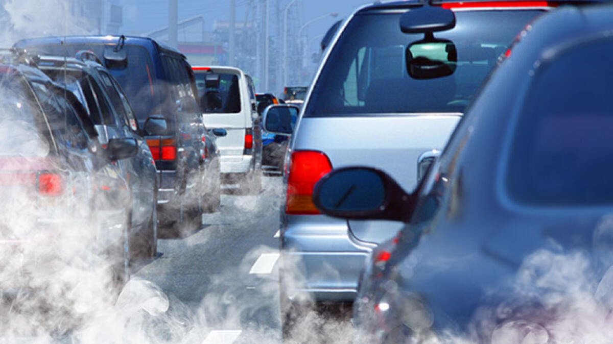 Foggia arretra nel Rapporto Ecosistema Urbano 2025: peggiora la qualità ambientale - 