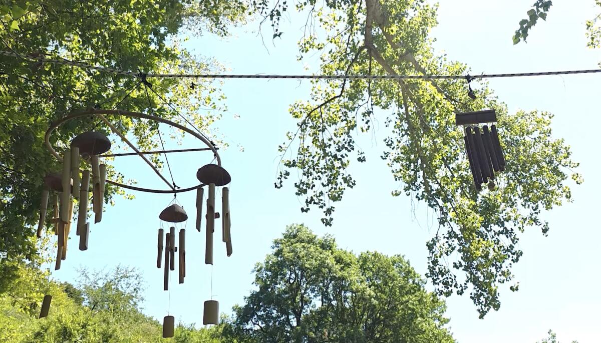 Sculture sonore a Deliceto per far risuonare le melodie della natura - Screenshot