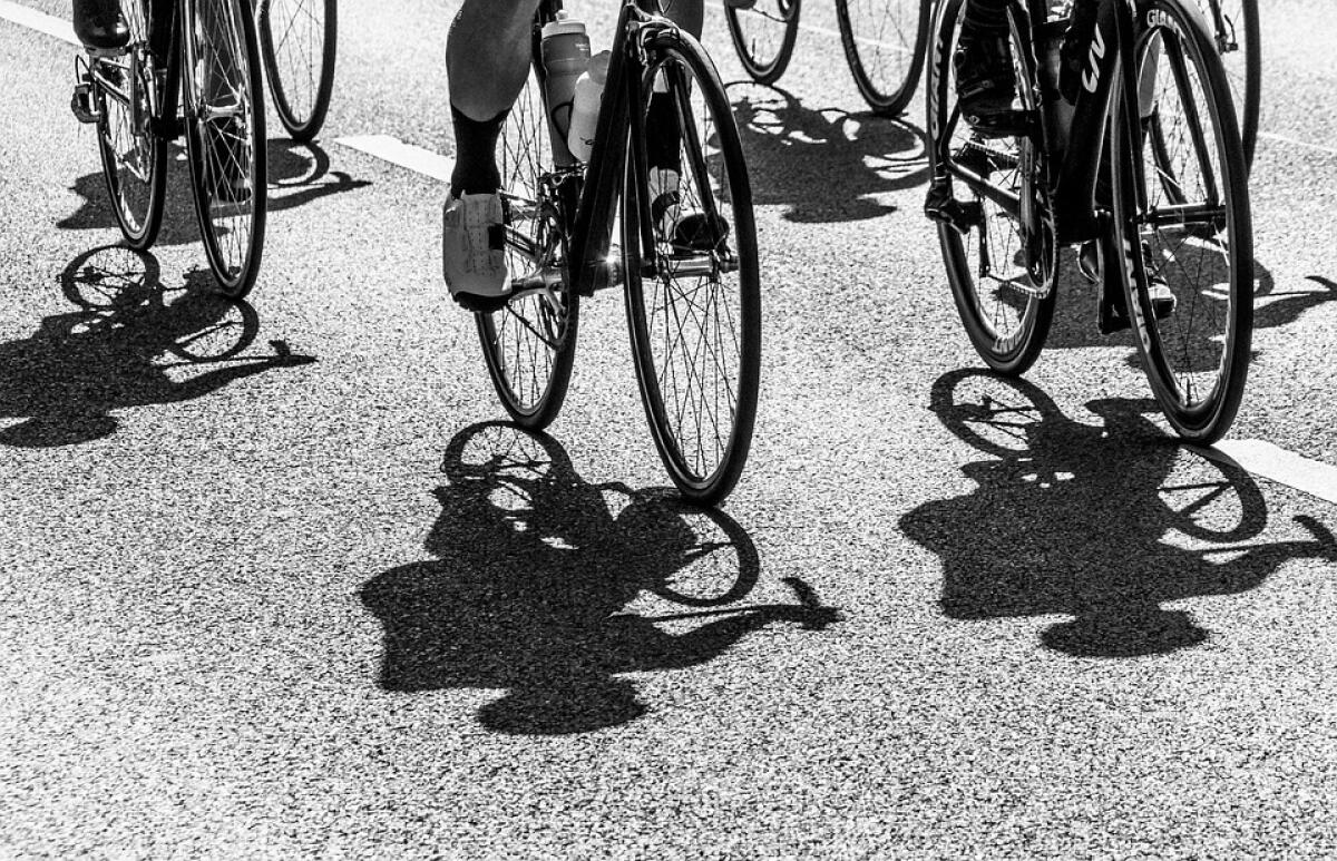 ASL Foggia: Granfondo ciclistica dei trapiantati fa tappa a Foggia domani - 