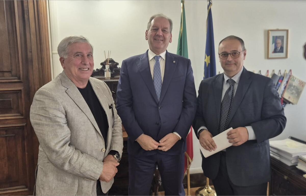 CIA Puglia e Italia Olivicola: “Settore olivicolo-oleario sotto l’attacco delle speculazioni” - Screenshot