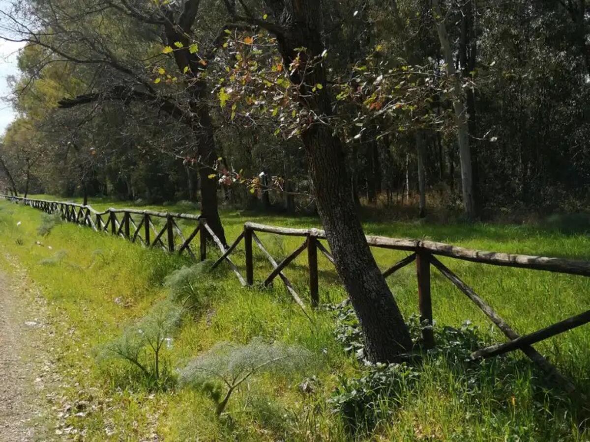 Bosco Incoronata: finanziato con 1,1 milione un progetto di riqualificazione - 