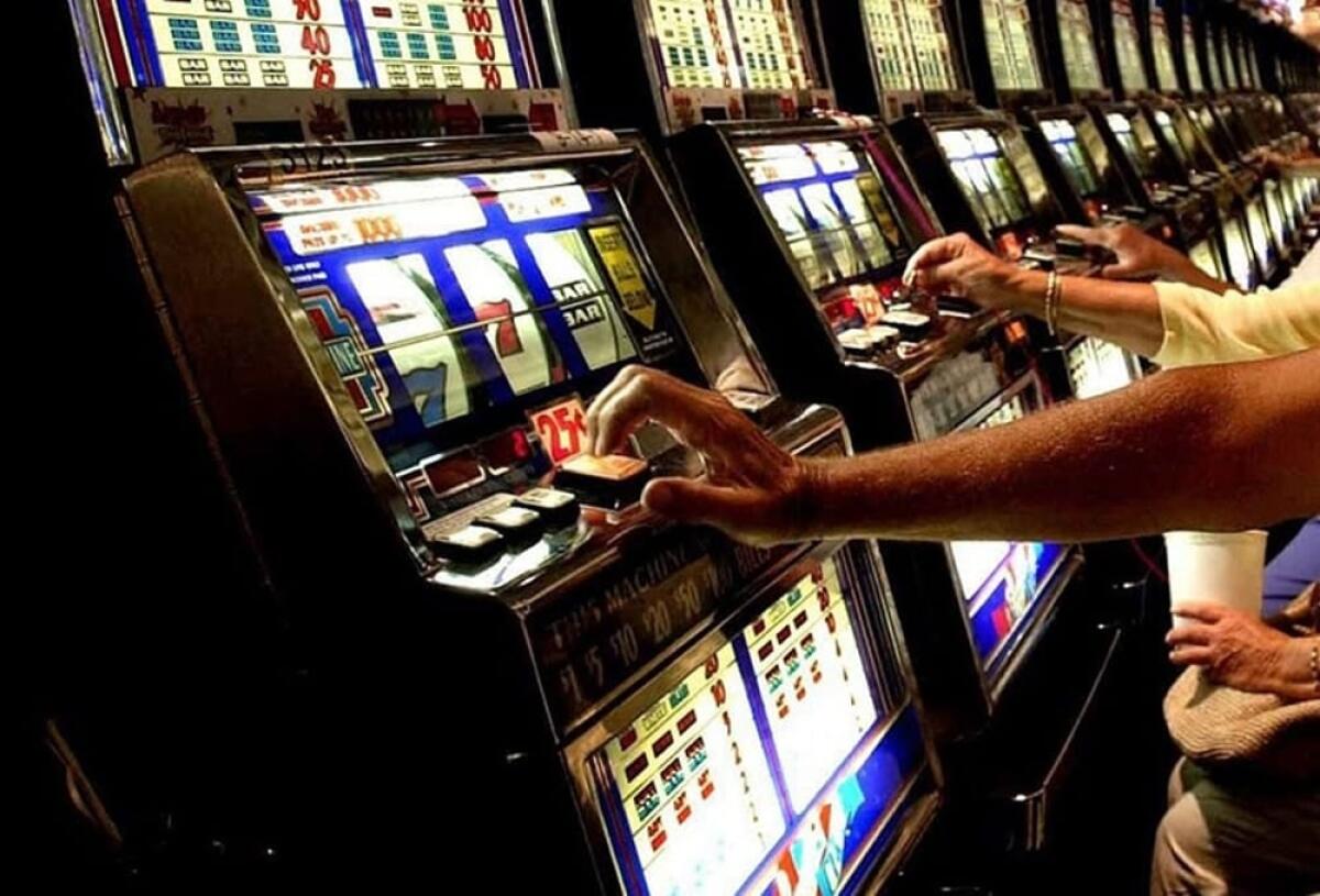 "Festival del Buon Gioco”: al via il progetto per educare gli studenti a prevenire il gioco d’azzardo patologico - Gioco Azzardo Slot 2