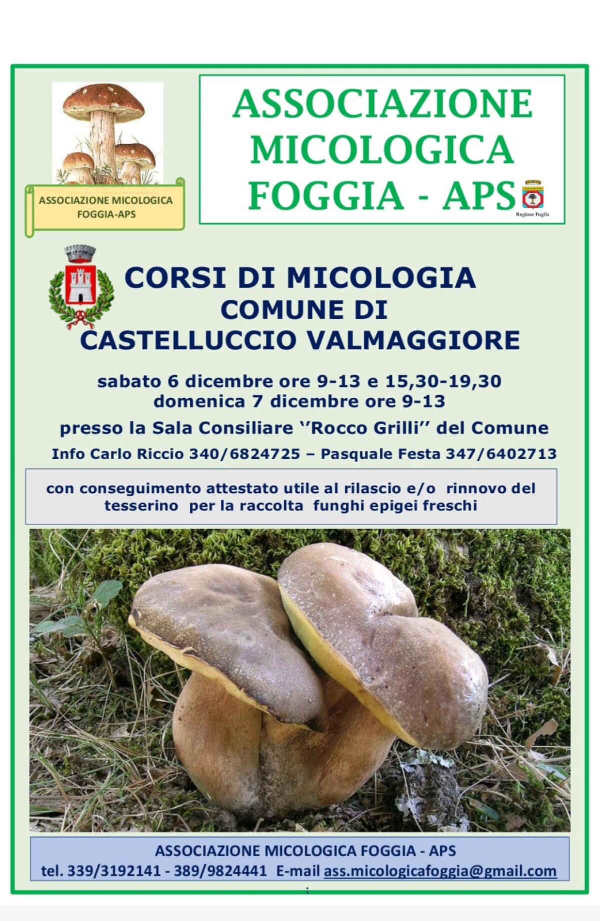 Castelluccio Valmaggiore: formati esperti di funghi epigei freschi - 
