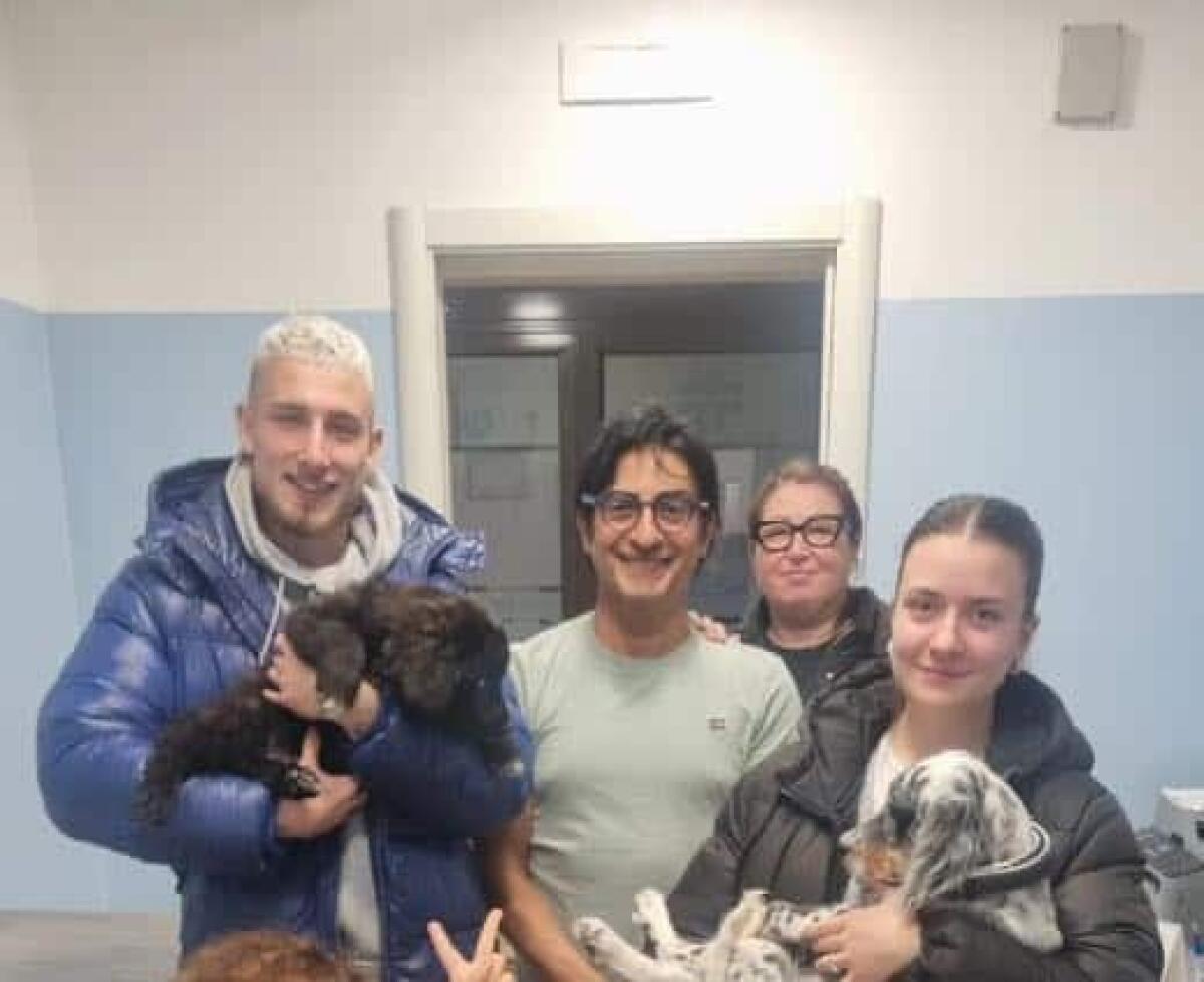 Due cuccioli salvati dall’Enpa di Manfredonia adottati da un giocatore del Foggia calcio - 