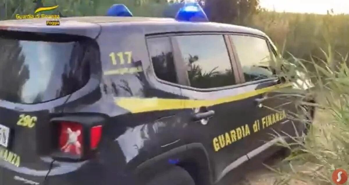 Foggia, trova una banconota e la consegna alla Gdf - 