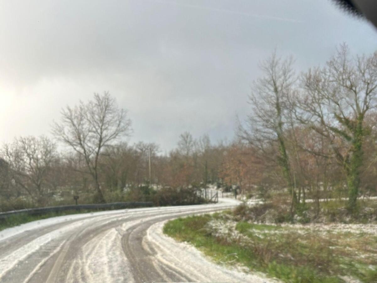 Agricoltura e violenta grandinata: il Comune di San Severo chiede il riconoscimento di calamità naturale - 