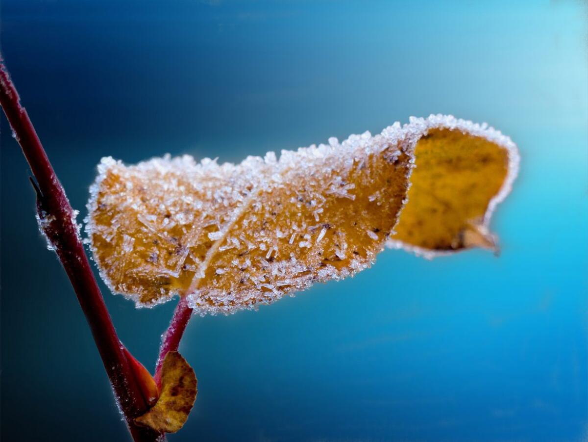 Colpo di coda invernale sul Foggiano tra giovedì e sabato: le previsioni meteo - 