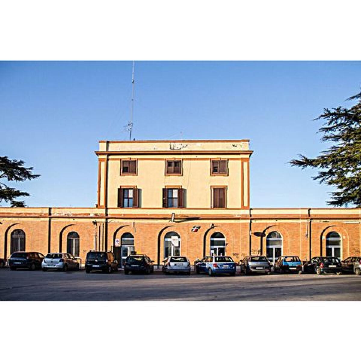 Cade un albero a Cerignola Campagna nel giorno di Pasquetta: la segnalazione - 