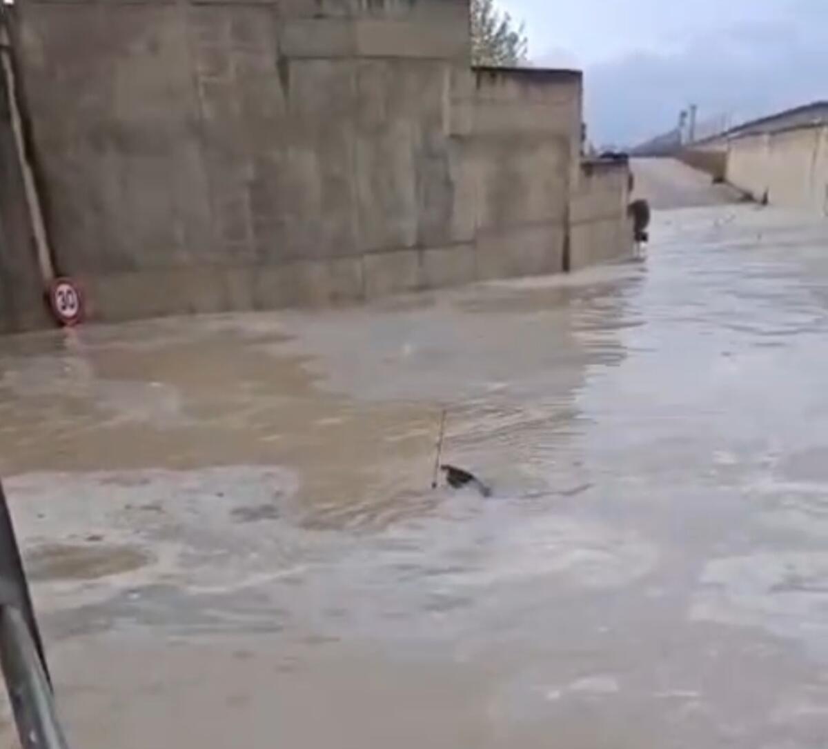 Maltempo, migrante bloccato nell'auto tratto in salvo dai Cc - 