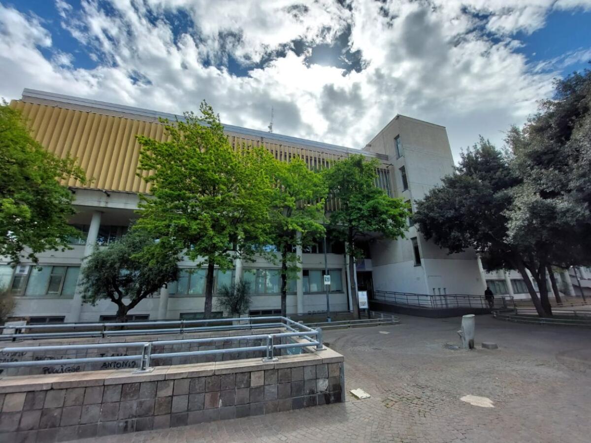 Cerignola, orientamento al lavoro: il Comune ammesso al finanziamento - 
