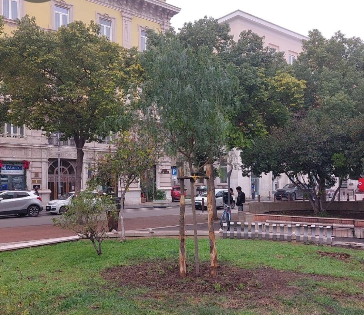 “Clima e verde pubblico a Foggia”: oggi il XVII incontro dei Dialoghi Foggiani - 