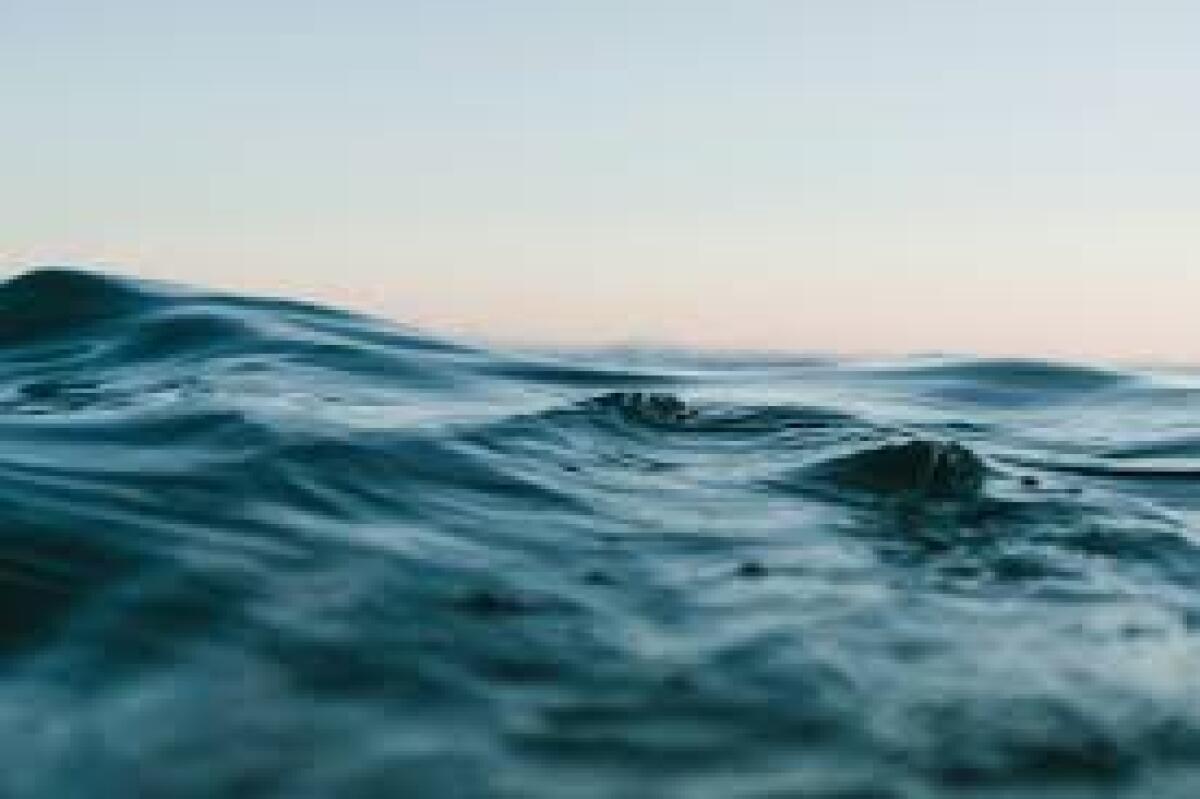 Gli oceani si acidificano e i pesci si isolano: non muoiono, si disgregano - 