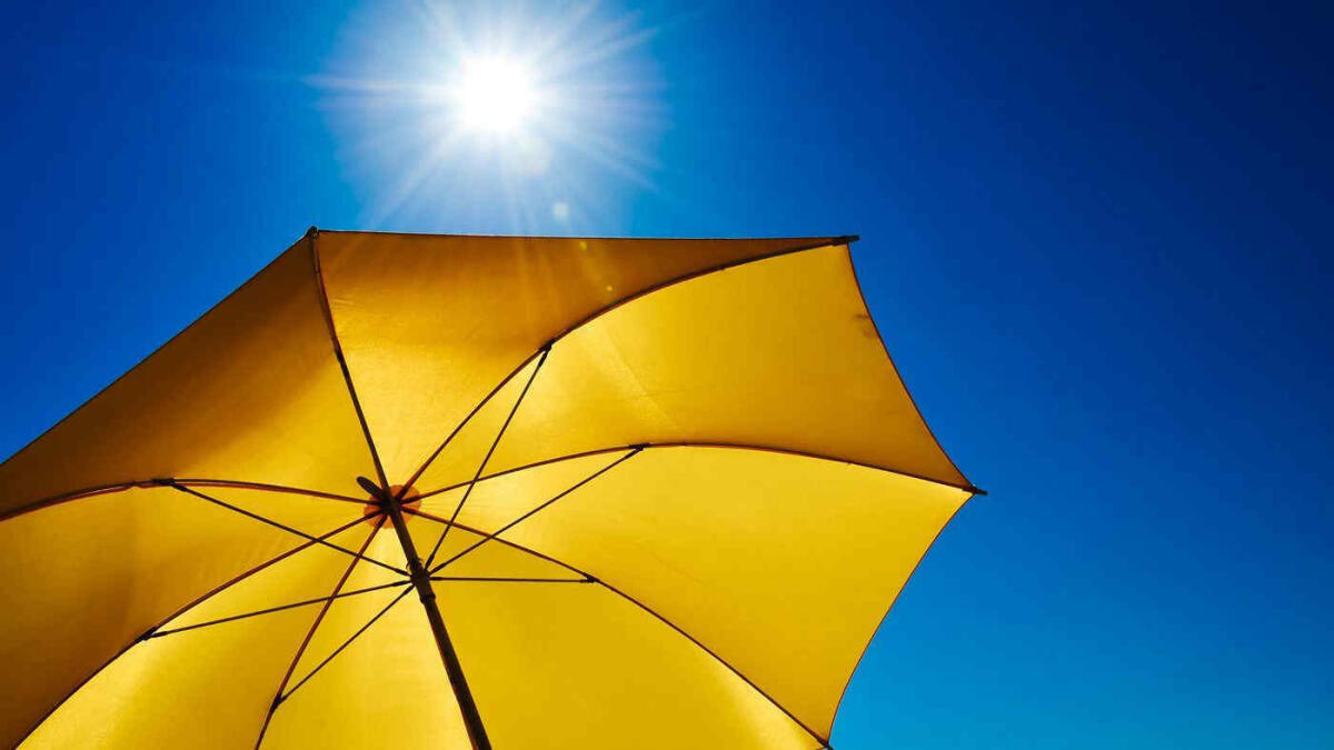 Slow Park di Foggia, con il Solstizio d’Estate nasce il “Capitanata Spring Festival” - 