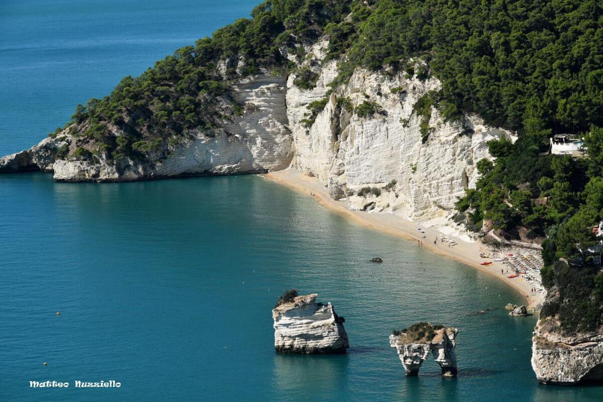 Erosione costiera, dalla Provincia di Foggia cinque progetti per 8,2 milioni alla Regione Puglia - Crediti Foto: Matteo Nuzziello