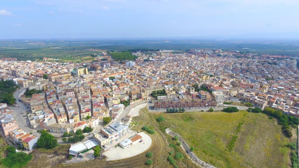 Torremaggiore: censito per la prima volta l’intero patrimonio verde e urbano - 