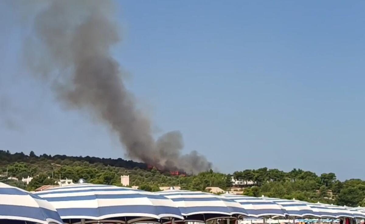 Vieste, la Protezione Civile: «La vicenda di un singolo volontario non cancelli anni di impegno» - 