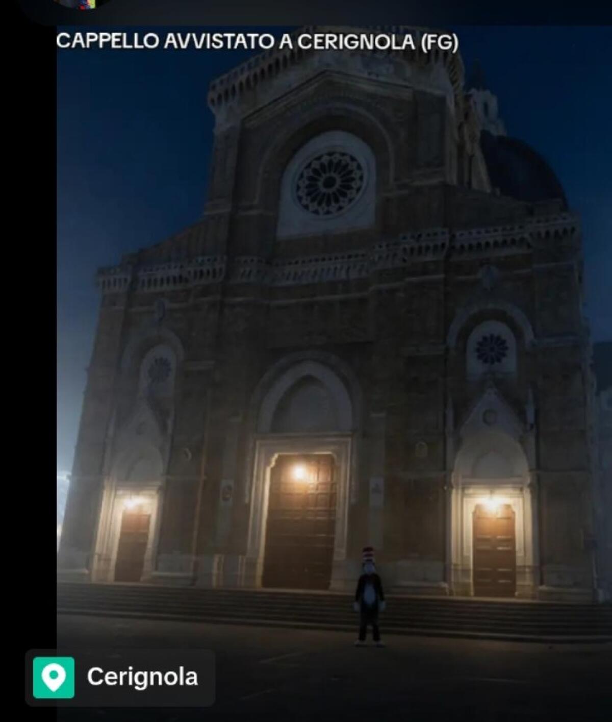 Cerignola, avvistato nottetempo il "Gatto col cappello" che spaventa su TikTok: è l'ultimo trend horror nato da un film del 2003 - 