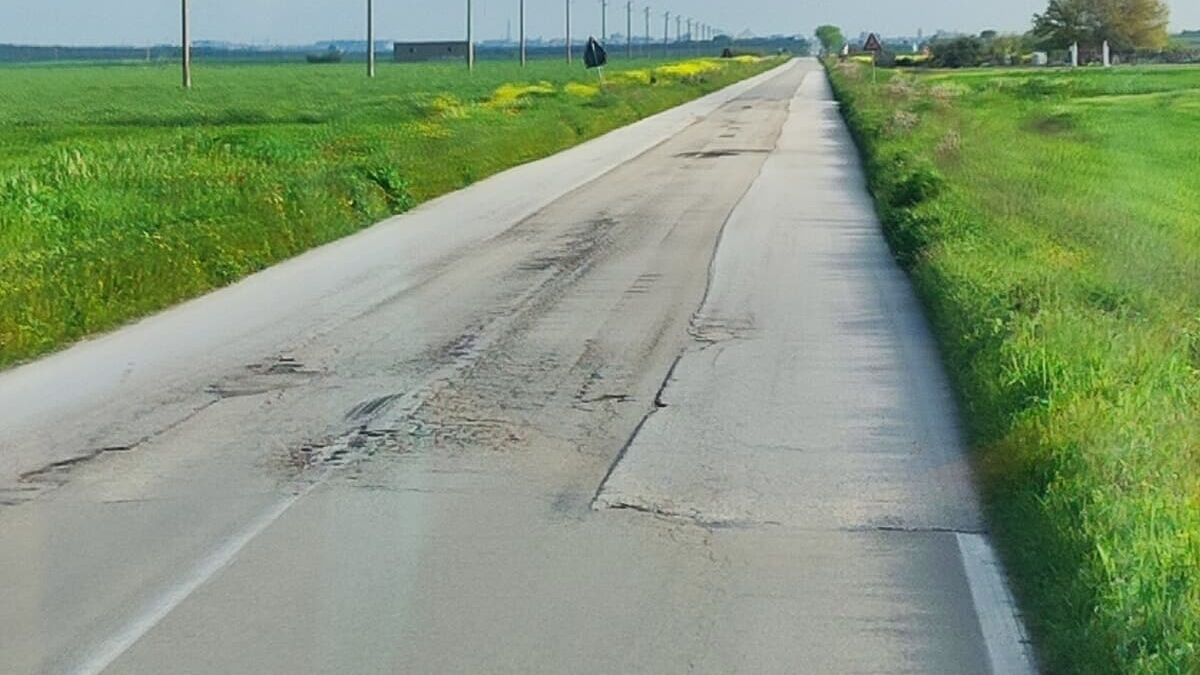 SP 109 Lucera-San Severo, partiti i lavori di messa in sicurezza - 