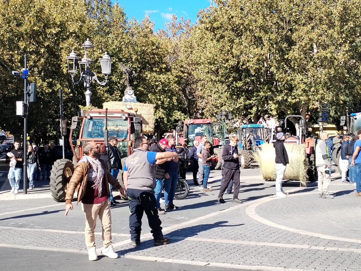 Agricoltura e trasporti, Gatta (FdI): «La Regione utilizzi subito 20 milioni per sostenere le imprese» - 